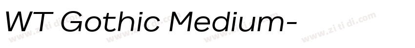 WT Gothic Medium字体转换